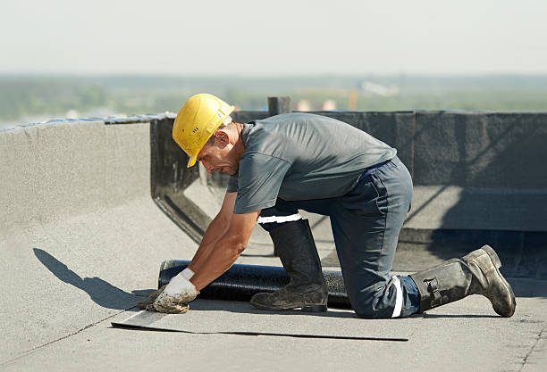 Best Insulation Maintenance and Repair in Gainesville, VA