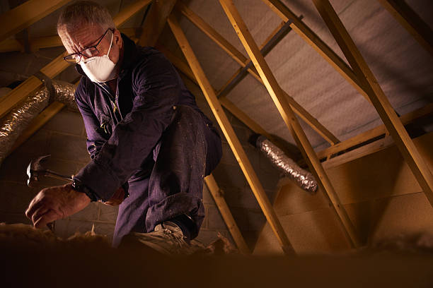 Best Residential Insulation in Gainesville, VA