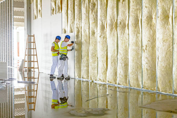Best Commercial Insulation in Gainesville, VA